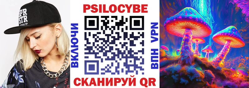 Галлюциногенные грибы Psilocybe  Белая Калитва 