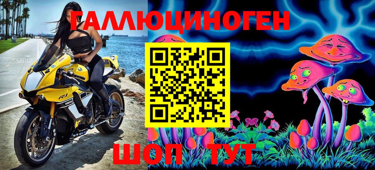 Псилоцибиновые грибы мицелий Белая Калитва