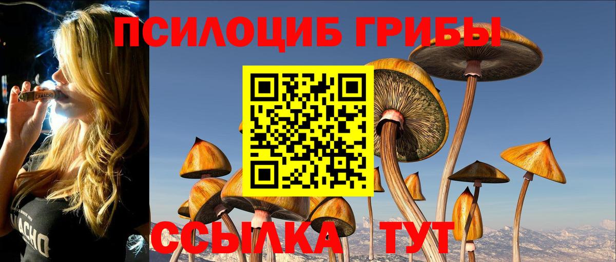 Псилоцибиновые грибы GOLDEN TEACHER  Псилоцибиновые грибы Magic Shrooms  Белая Калитва  Вход с VPN 